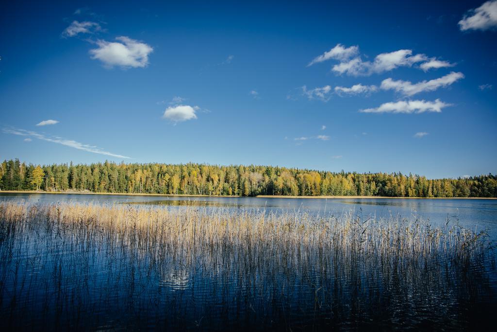 Sleepwell Villa Hartola By The Lake Kirkkola المظهر الخارجي الصورة